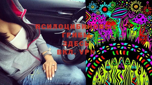 тгк Елабуга
