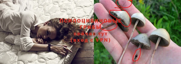 тгк Елабуга
