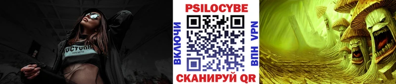 Галлюциногенные грибы Psilocybine cubensis  Купить где  Верея 
